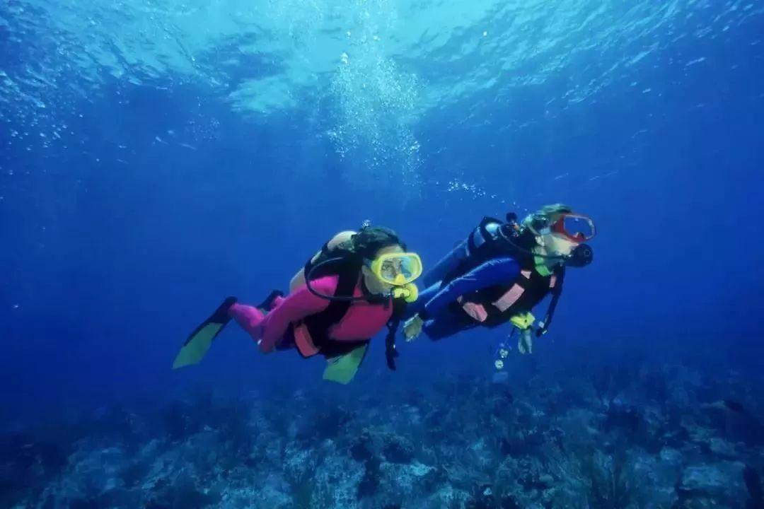 拯救可爱小浣熊